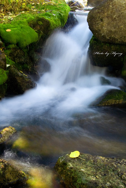 IMG_4549 ps.jpg
