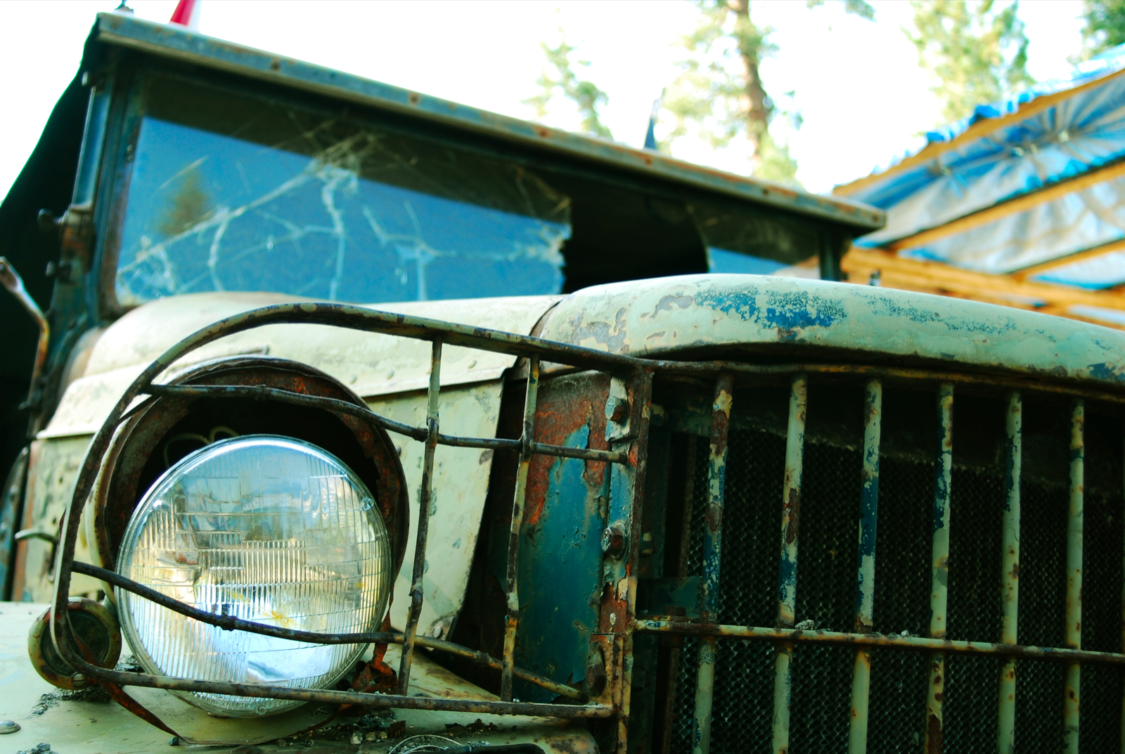 DSC_0872.jpg
