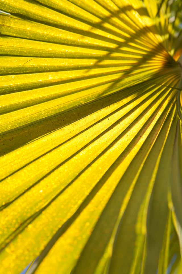 fine art-9.jpg