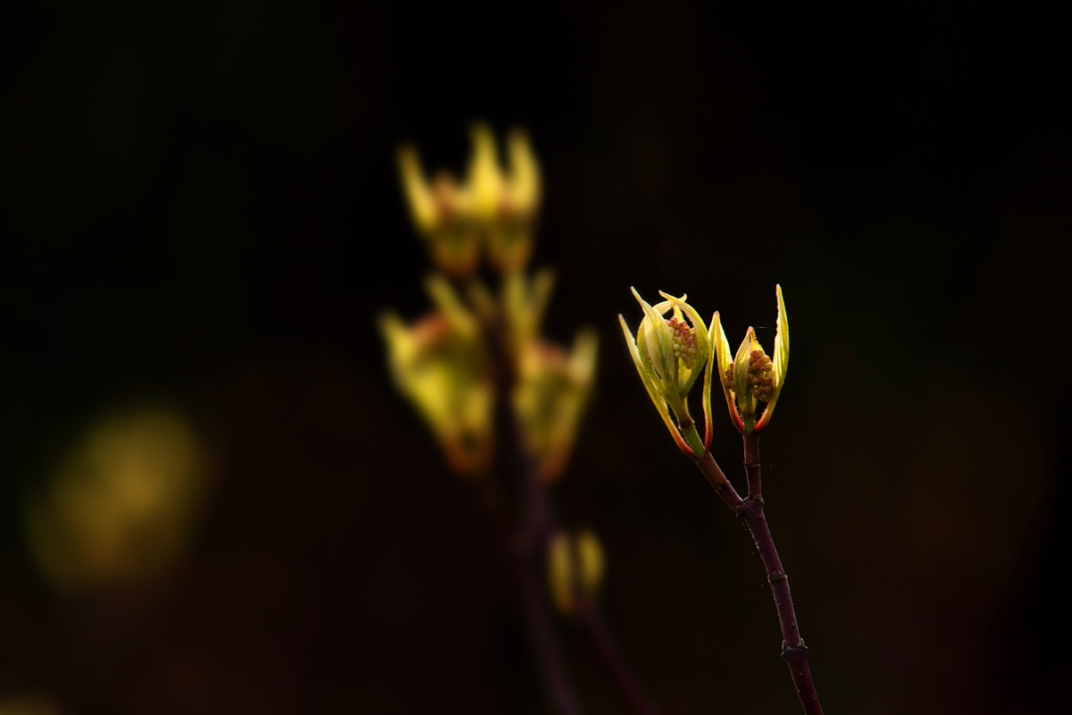 [6]DSC05699副本.jpg