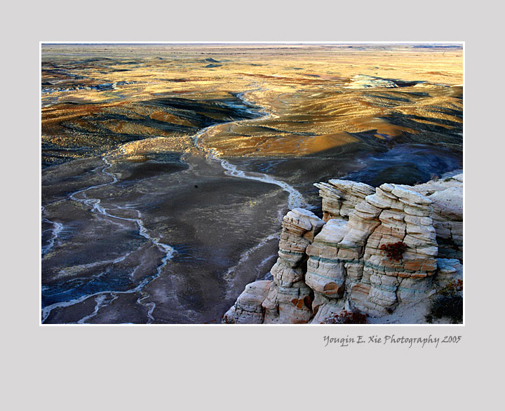BlueMesa_3659_2005.jpg