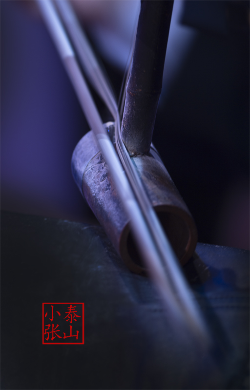 AP6G0509-S web.jpg