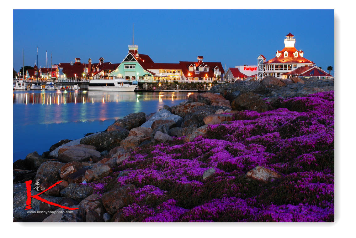 Night Port.jpg