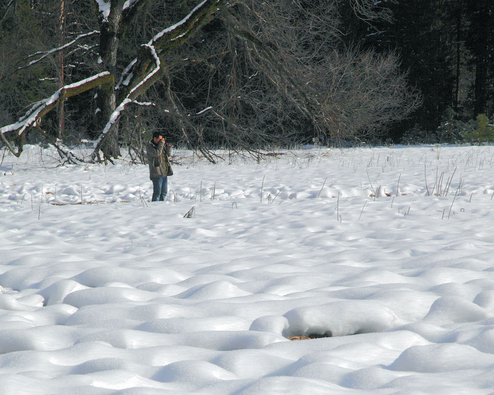 2011-01-09d-Meadows-039s.jpg