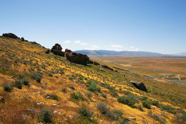 _MG_5488.jpg