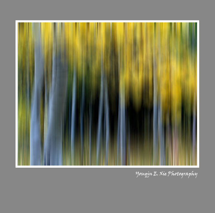 AspenFall-Framed.jpg