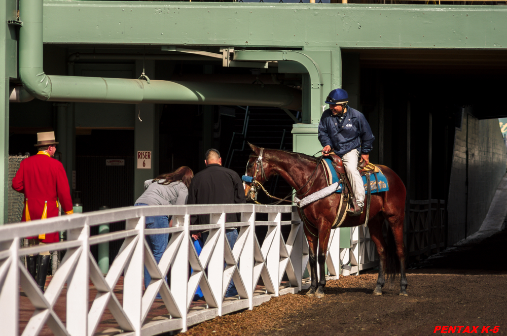 20130126-IMGP8744.jpg
