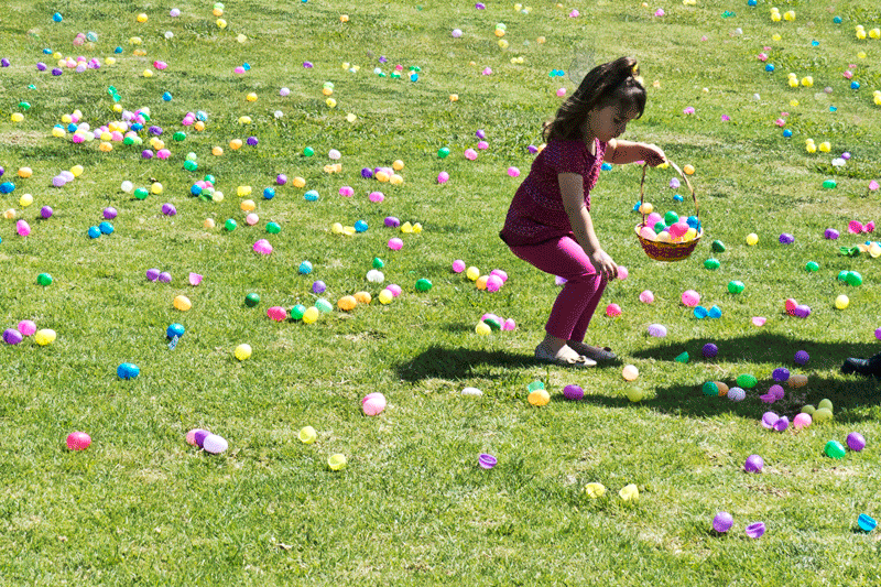 P1030815A.gif