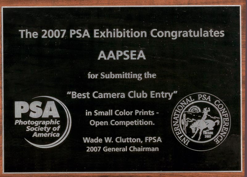 psa 2.jpg