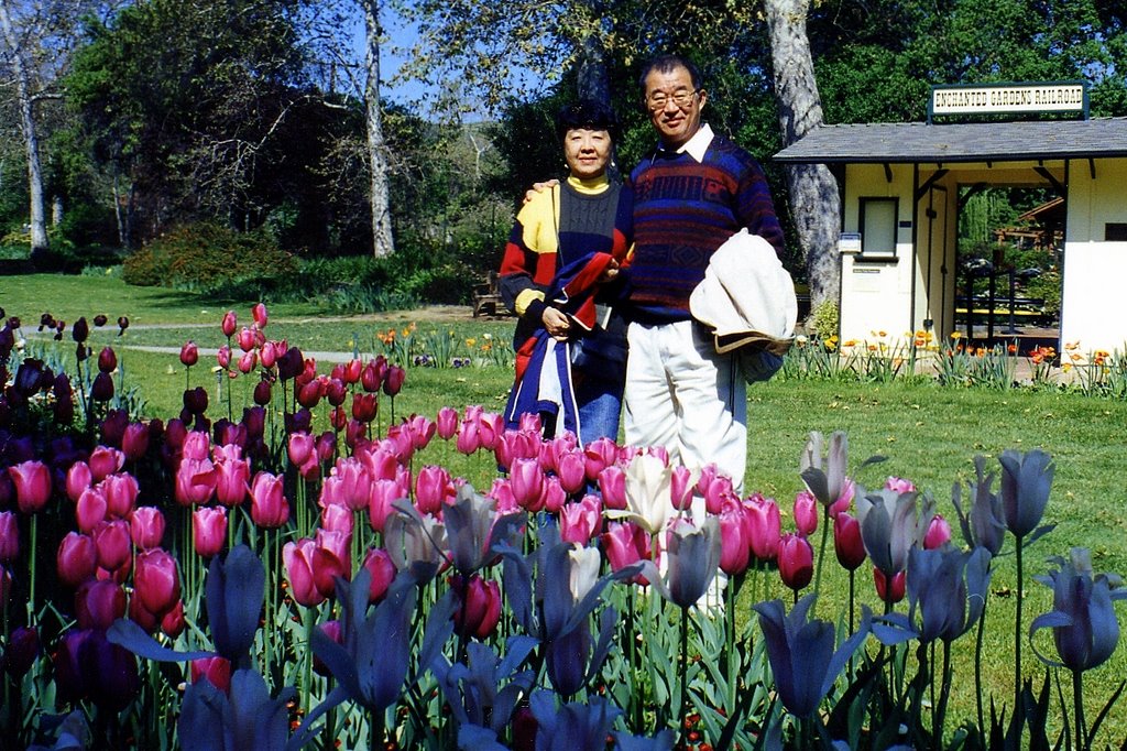 scan085.JPG