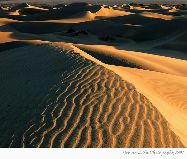Sand-Dune_MG_6574-2-Framed.jpg