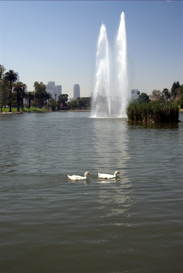 EaglePark070a.jpg