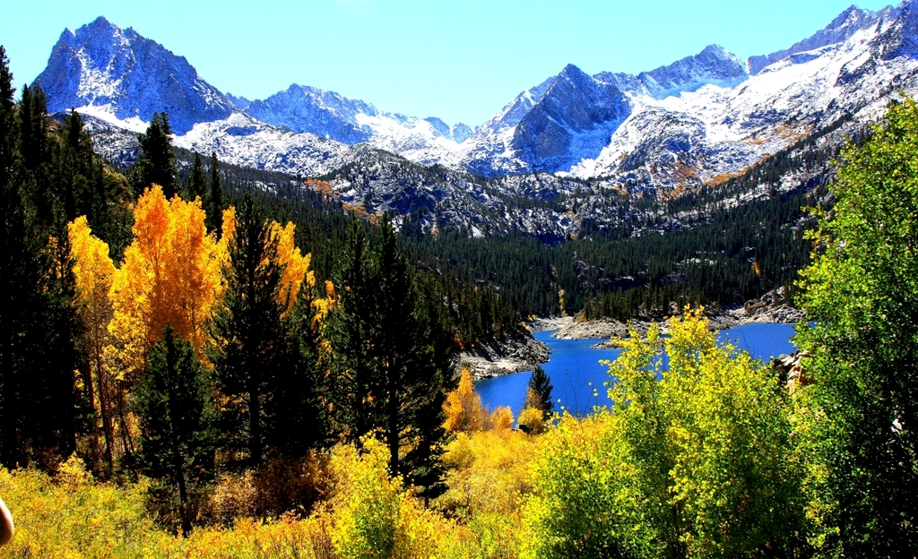 _MG_0814.JPG