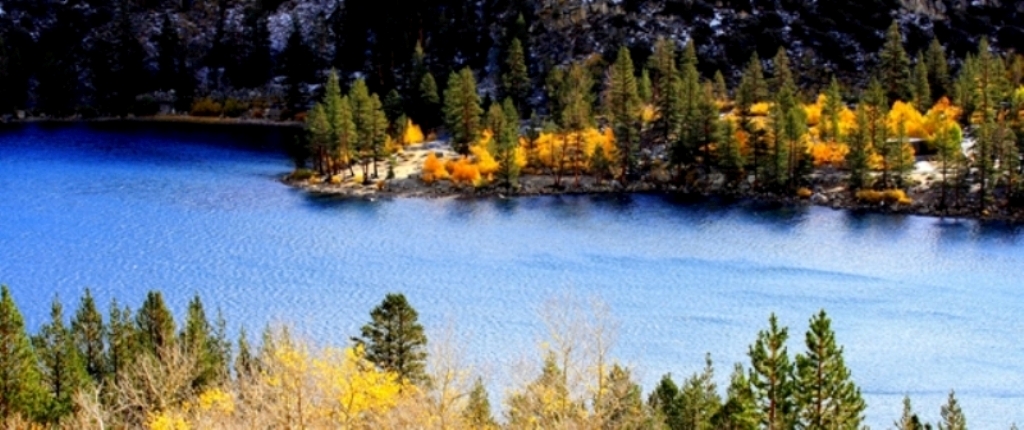 _MG_0101.JPG