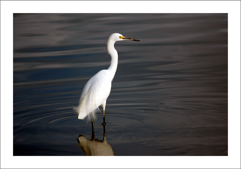 DSC_0062.jpg