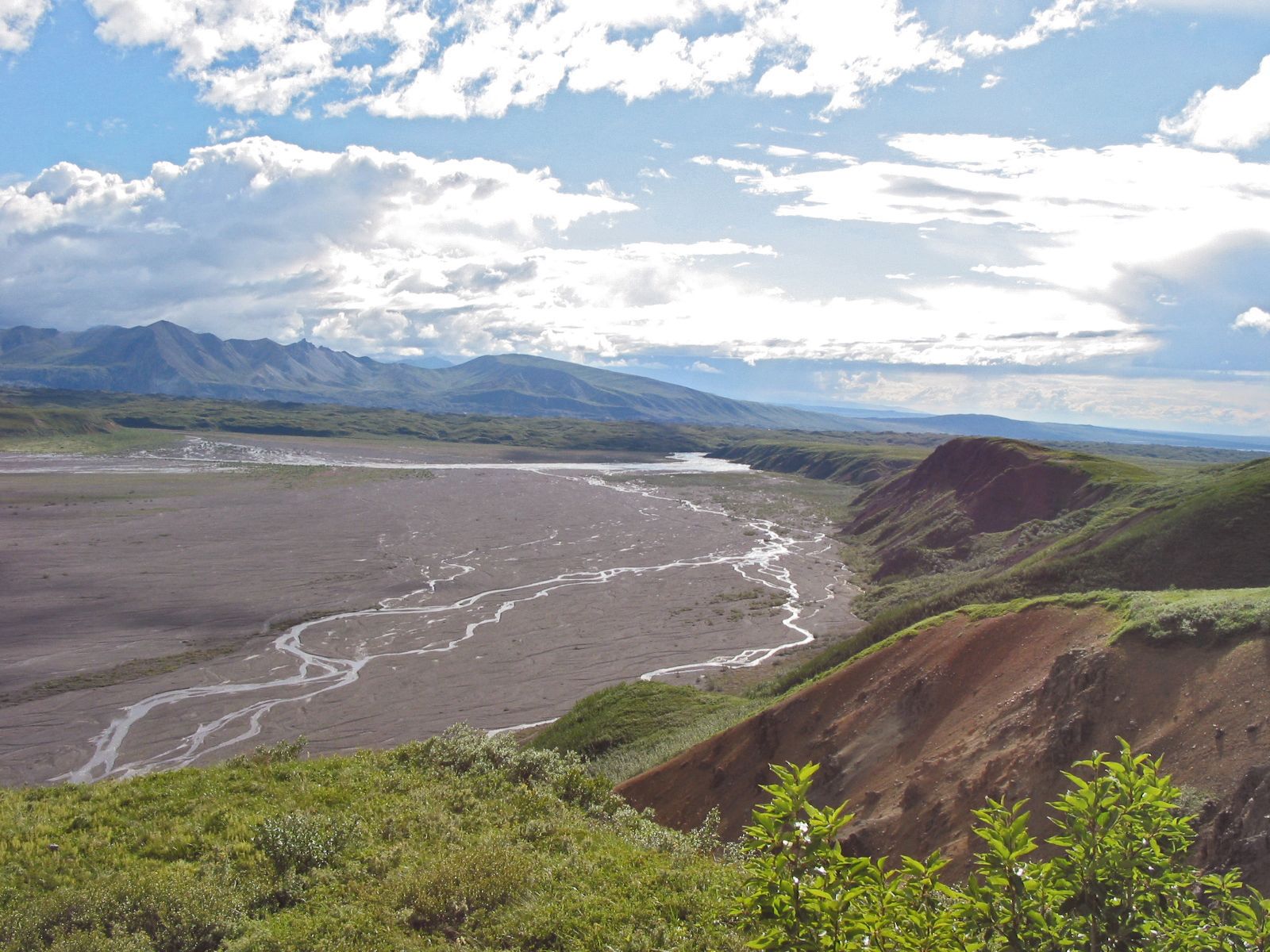 Alaska 711_2.jpg