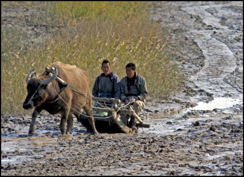 Running On The Mud #2.jpg