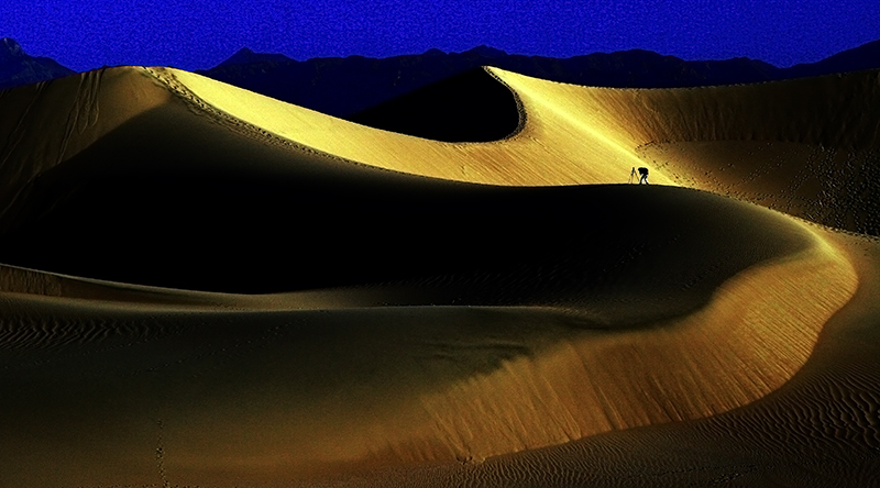 Sand Dunes - Death Valley 2.jpg