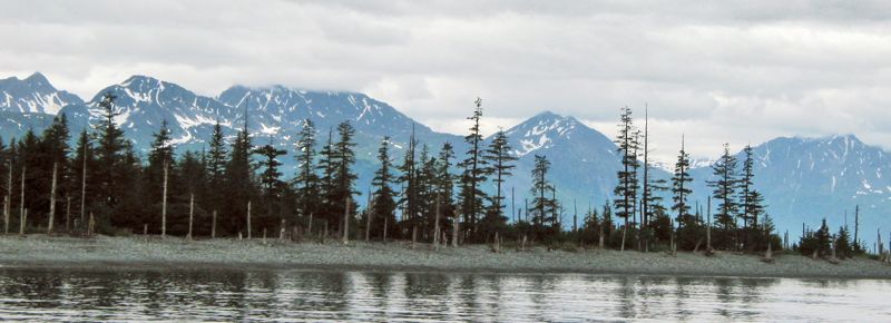 Alaska 257_2.jpg