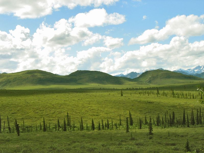 Alaska 565_2.jpg