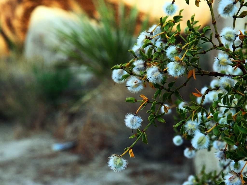 2009-06-12-JTNP 364.jpg