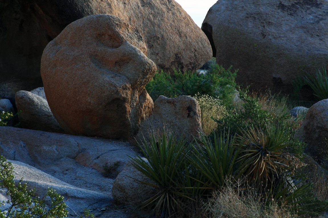 2009-06-12-JTNP 352.jpg