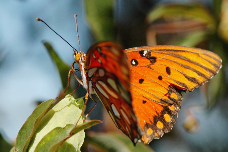 DSC_5114c.jpg