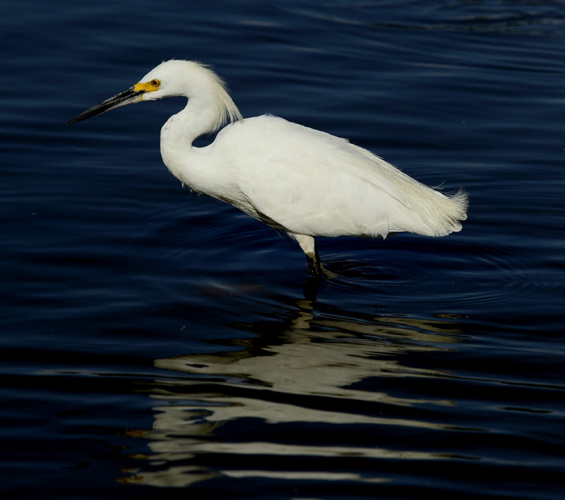 IMG_8349.JPG