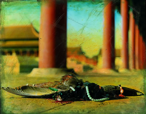 洪磊作品--紫禁城的秋天.2jpg.jpg