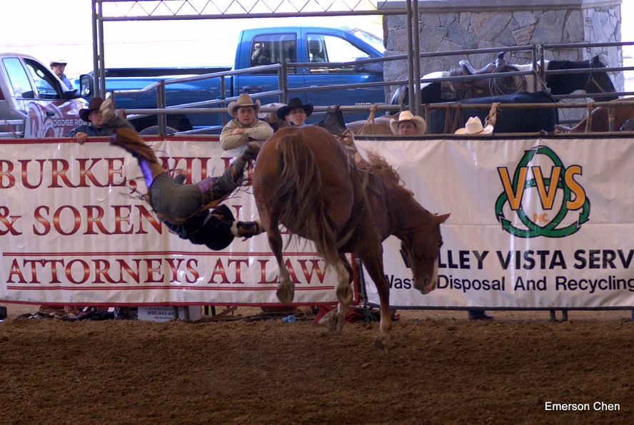 2008Rodeo_0117.jpg