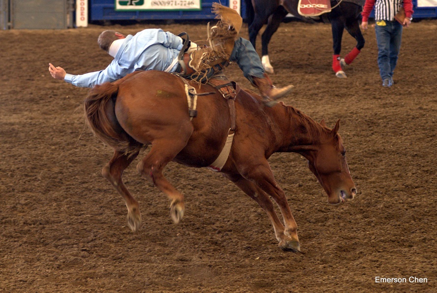 2008Rodeo_0127.jpg