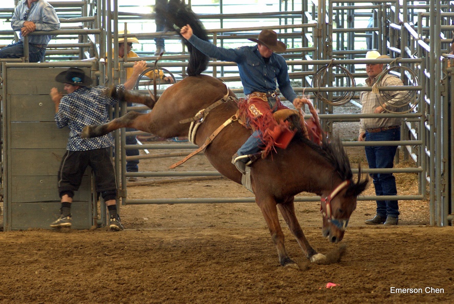 2008Rodeo_0226.jpg