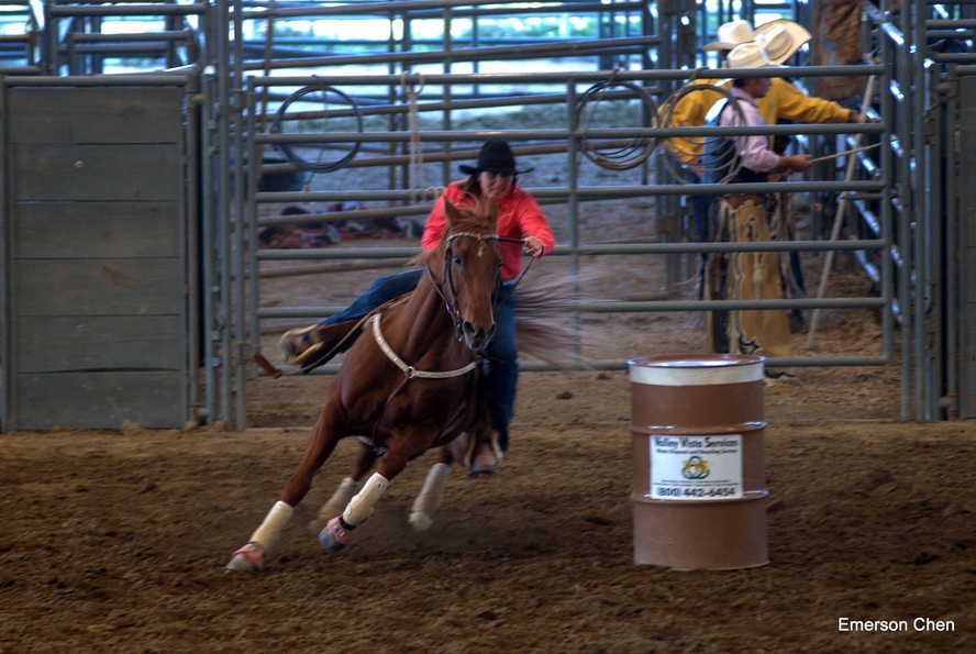 2008Rodeo_0311.jpg