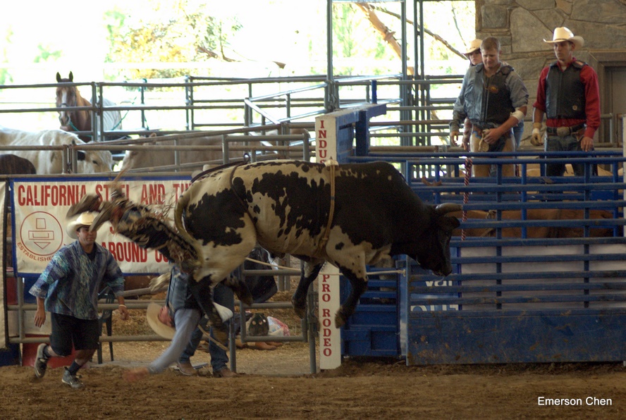 2008Rodeo_0362.jpg