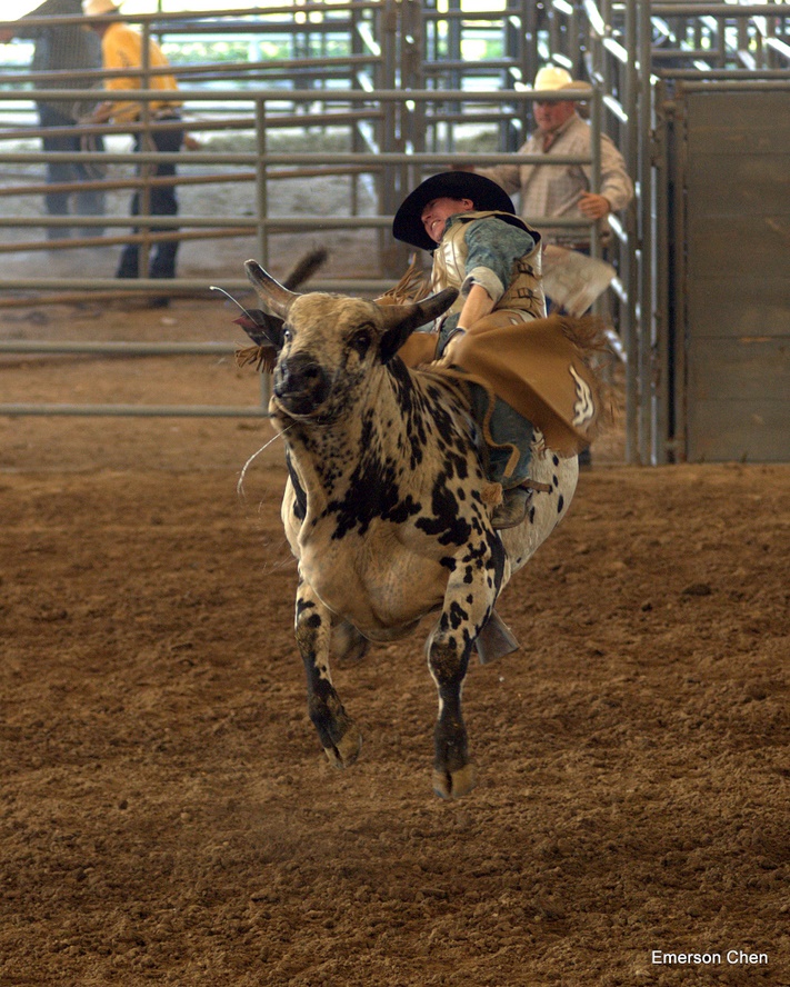 2008Rodeo_0371.jpg