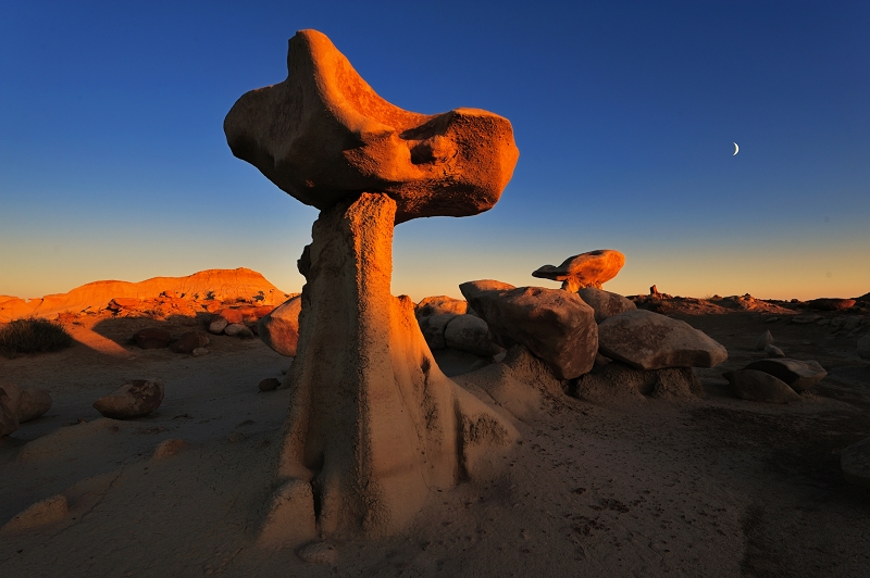 圣湾沙漠里面风化严重的岩石，如同巨大的蘑菇.jpg