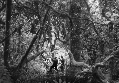 走了一天的猎人只打了两只山鸡,全身都被雨湿透了 5.jpg