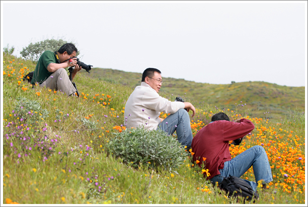 flowers-3.jpg