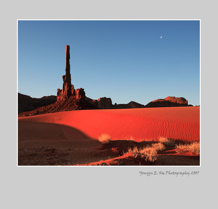 SandSpring_2-Framed.jpg