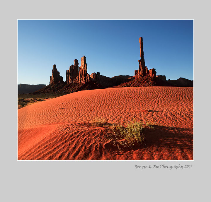 SandSpring_3-Framed.jpg