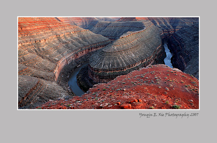 Gooseneck_0092-Framed.jpg