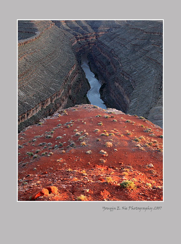 Gooseneck_0085-Framed-2.jpg