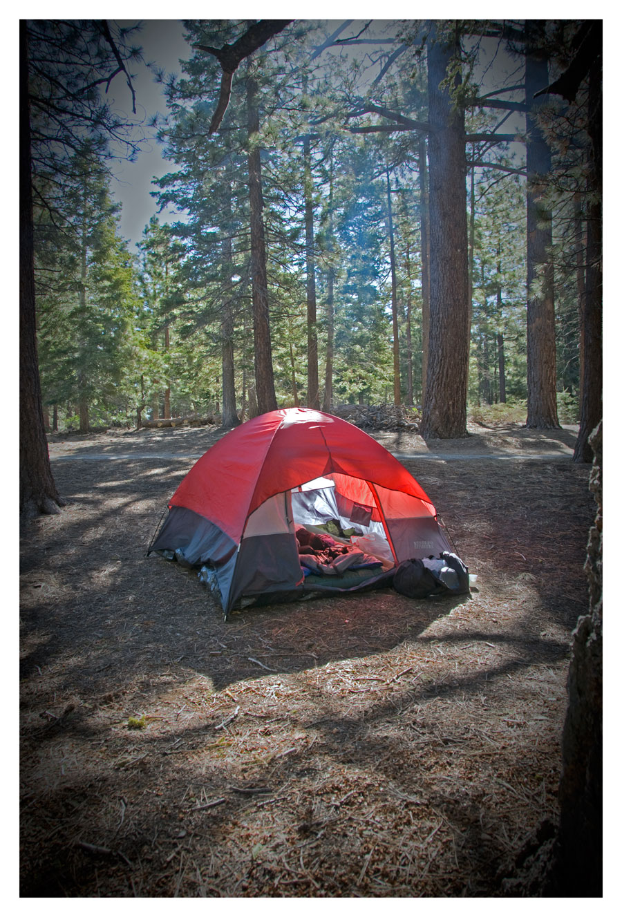 DSC_0268.jpg