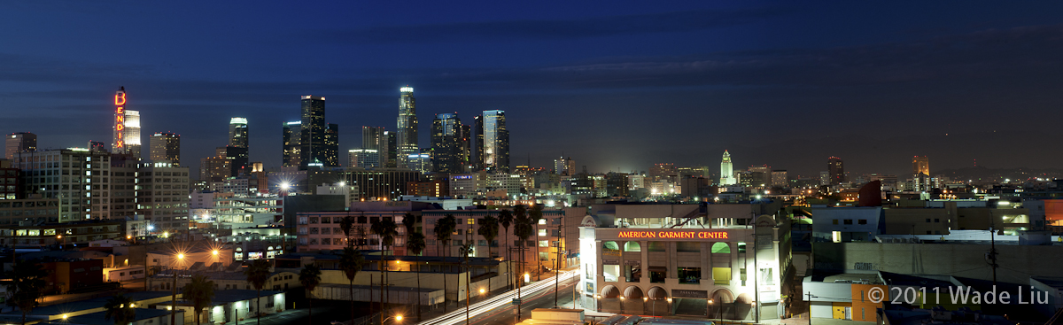 DTLA (1 of 1).jpg