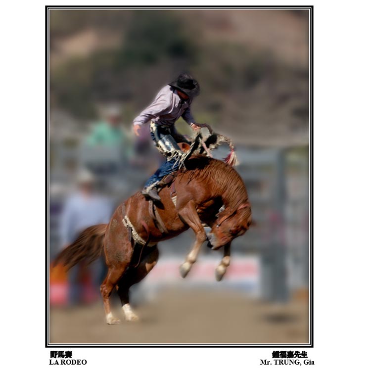 gia trung rodeo #1.jpg