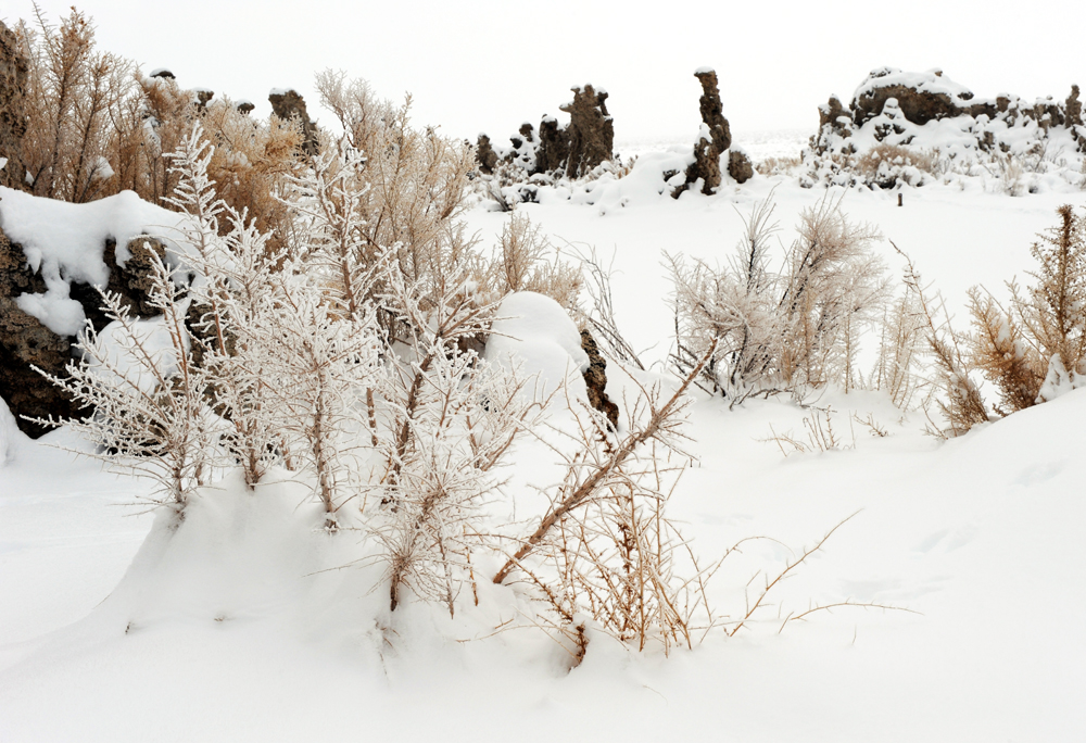 Winter Mono Lake 2.jpg