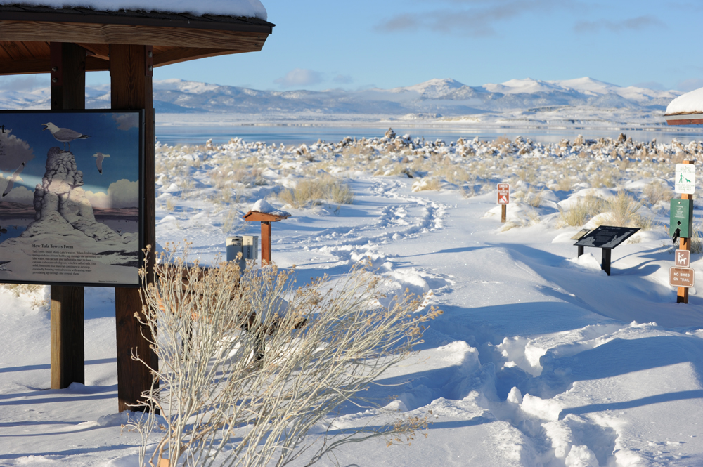 Winter Mono Lake 8.jpg