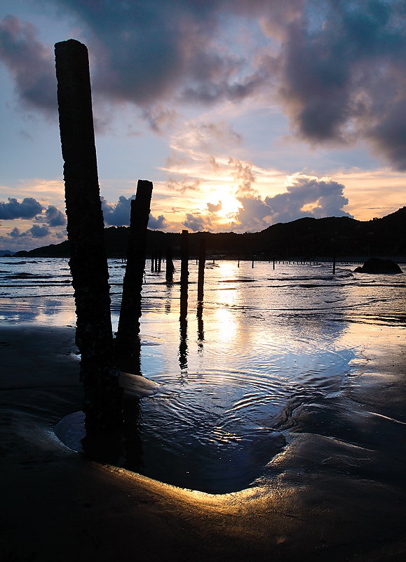 20100819_3b5a6fd437b31372d93699tsW8AbhaAm.jpg