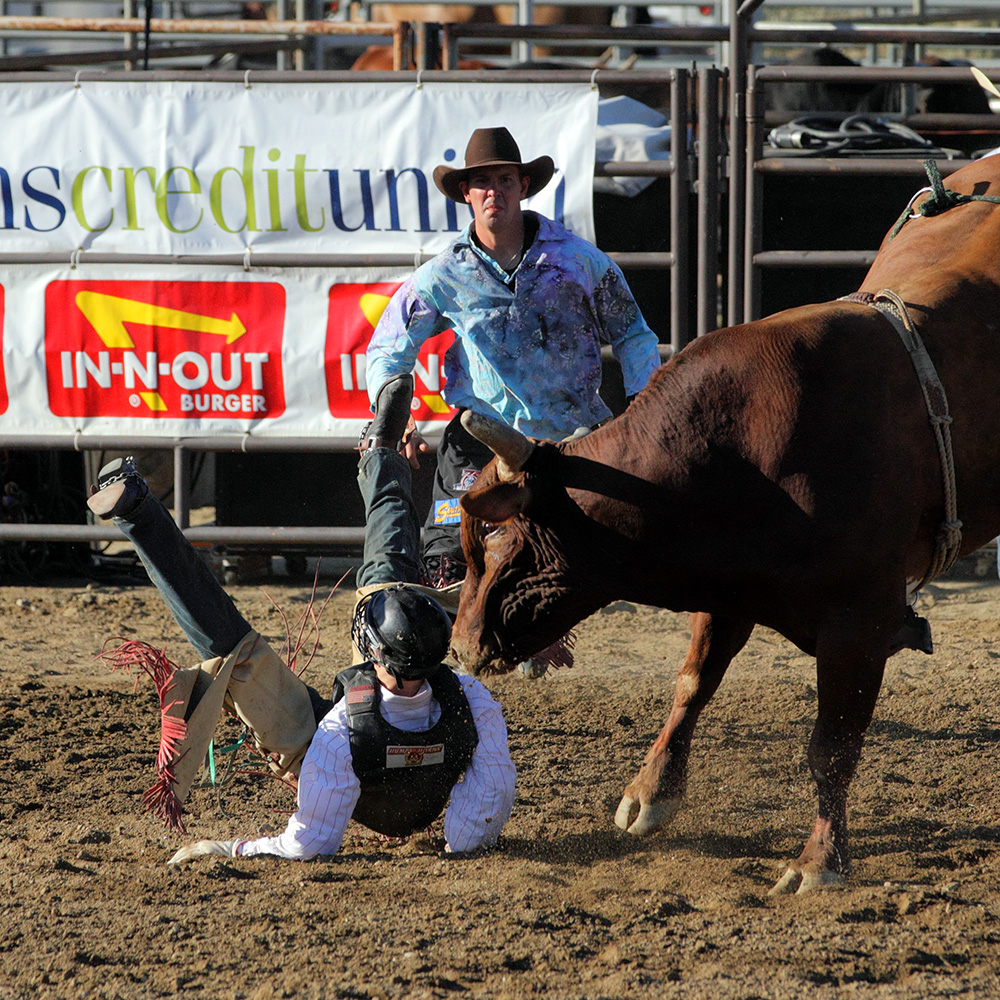 2011-10-02-Rodeo-280s.jpg