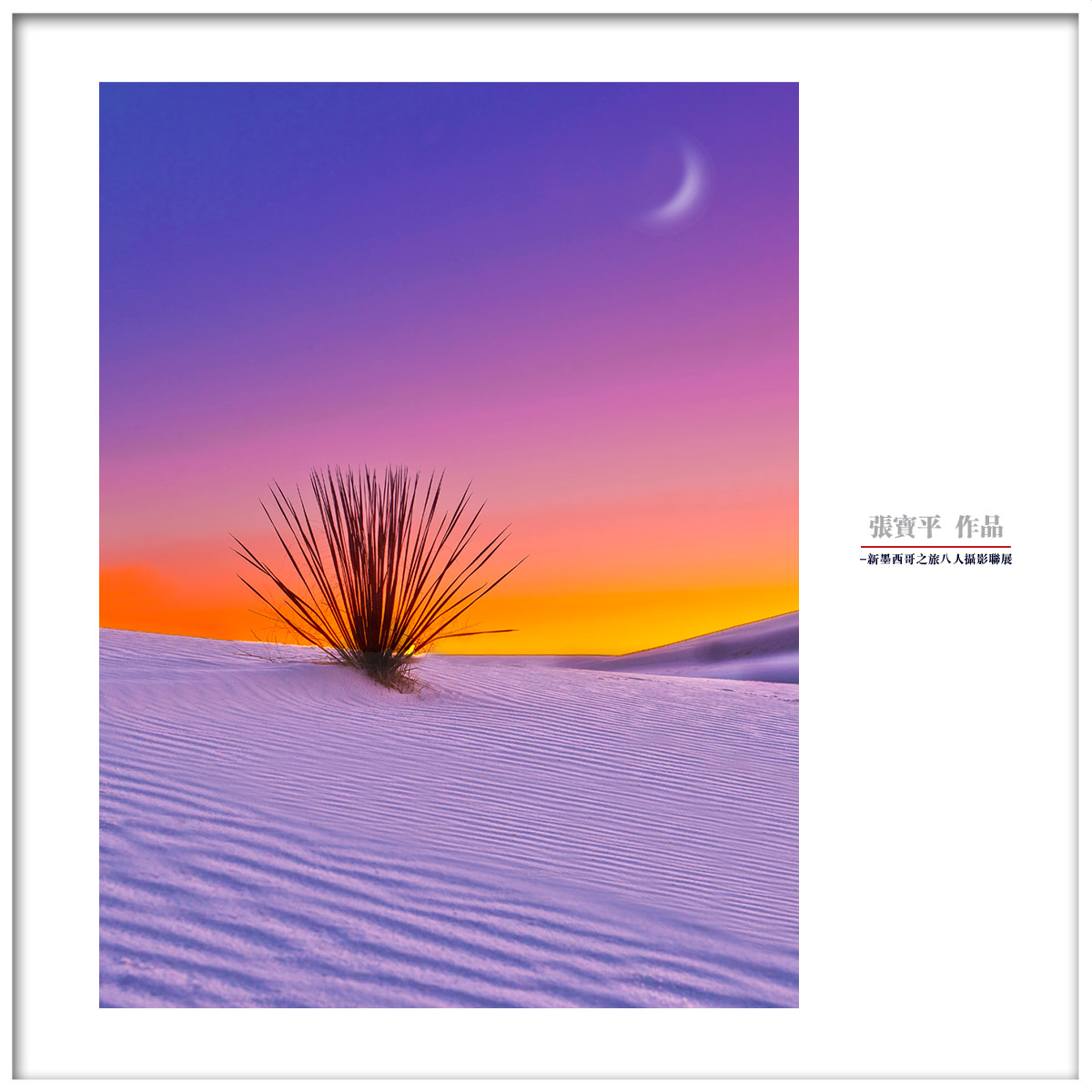 张宝平-017.jpg